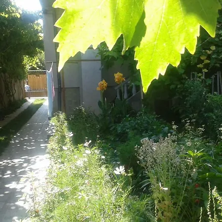 Pensionat Casa Maria Costinesti